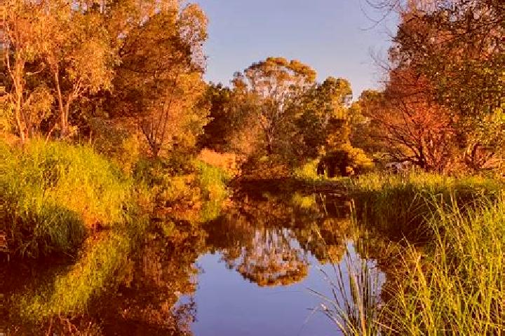 escort Campbells Creek