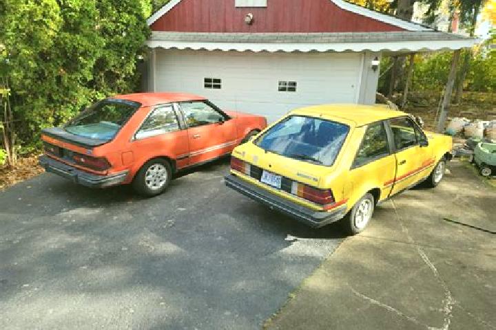 escort Campbellsville