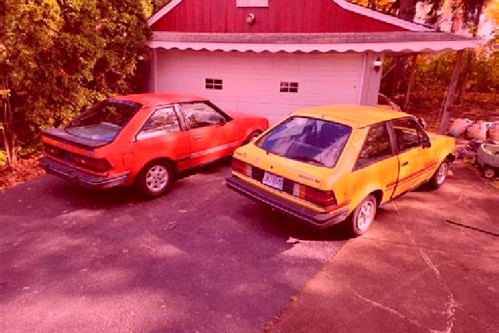 escort Campbellton