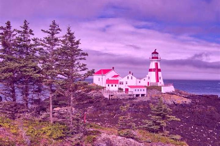 escort Campobello Island