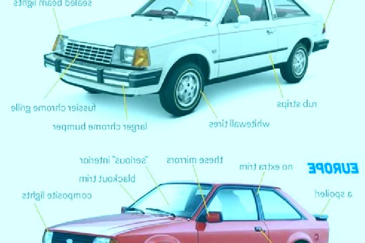 escort Can-Avid