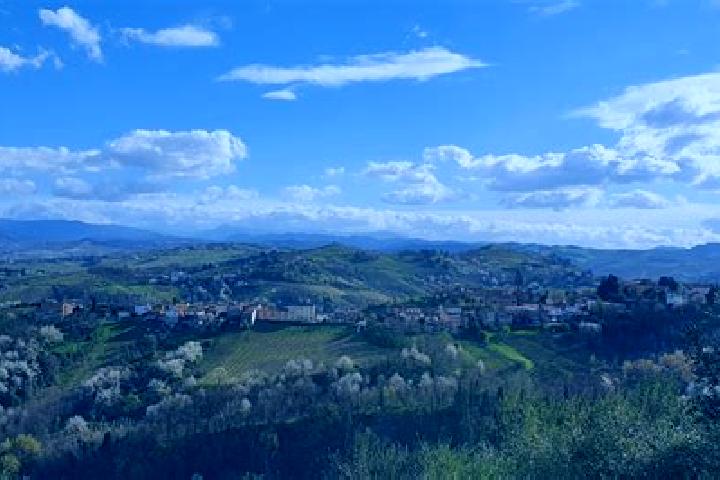 escort Canneto Pavese