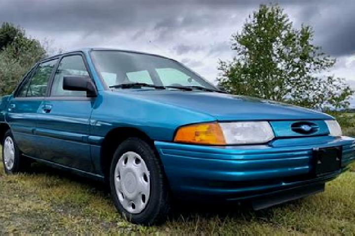 escort Cantimpalos