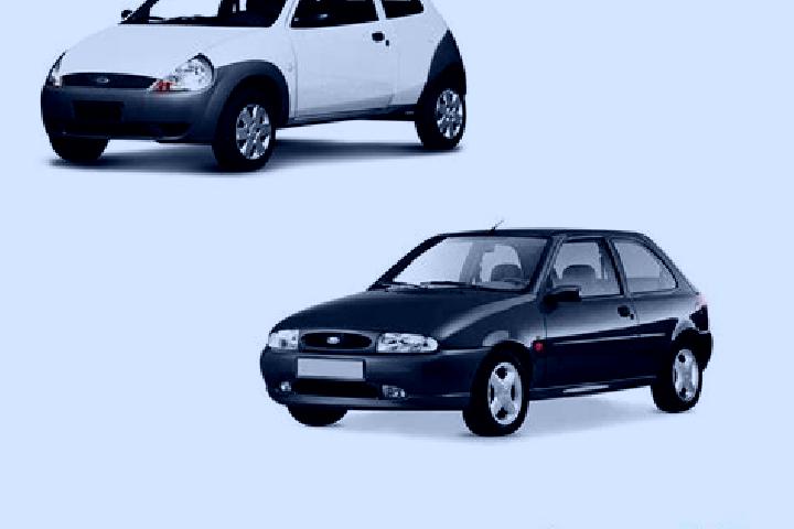 escort Capela Nova