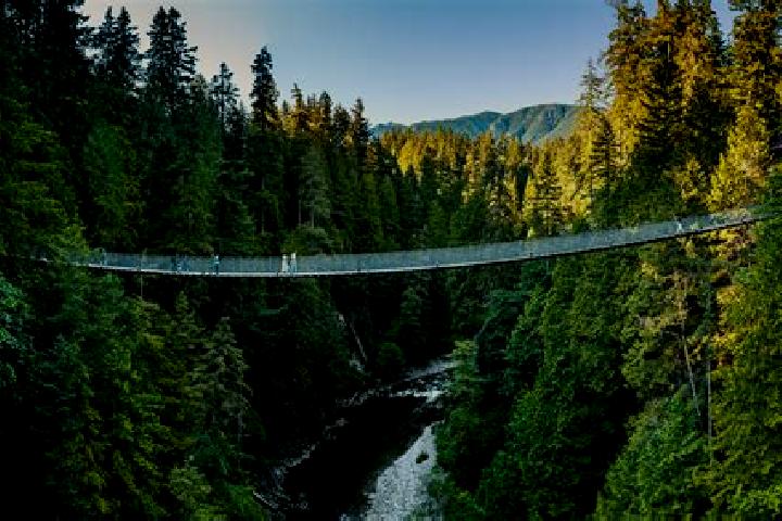 escort Capilano