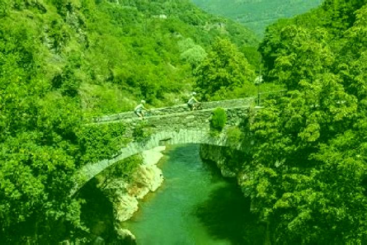 escort Capo di Ponte