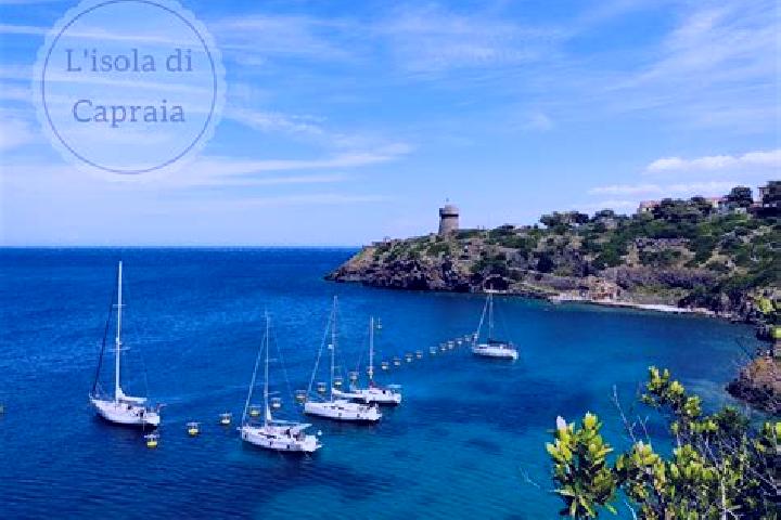 escort Capraia Isola