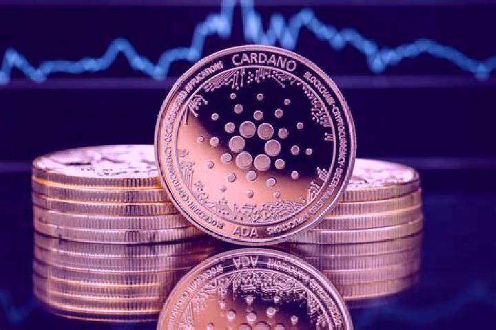 escort Cardano