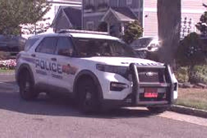 escort Carle Place