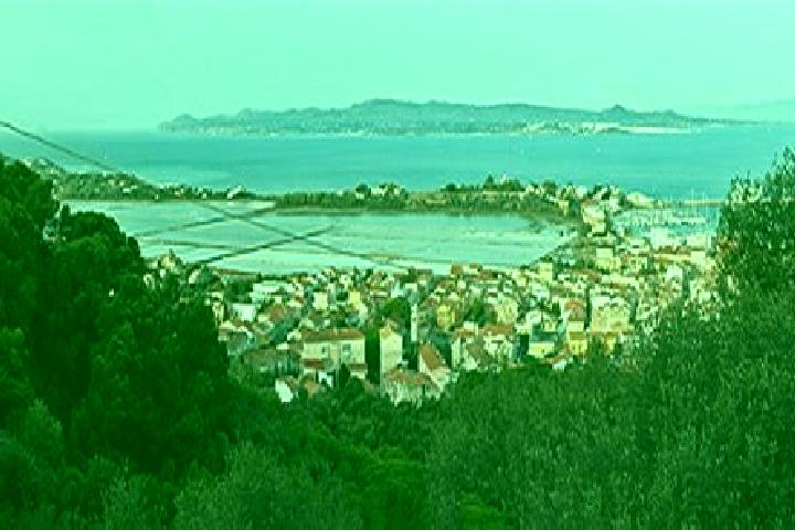 escort Carloforte