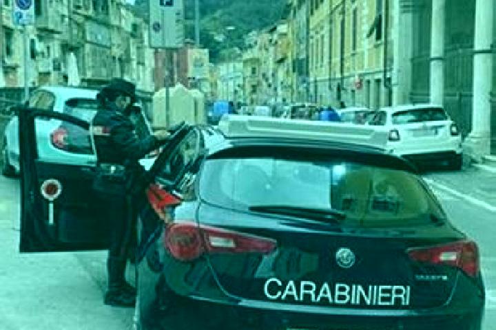escort Carrara