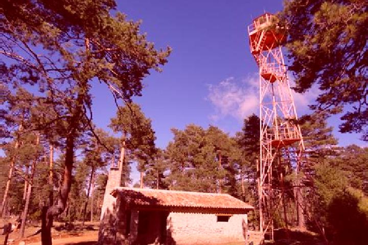 escort Carrascosa de la Sierra