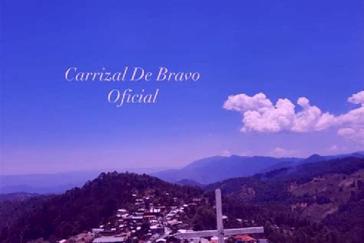 escort Carrizal de Bravo
