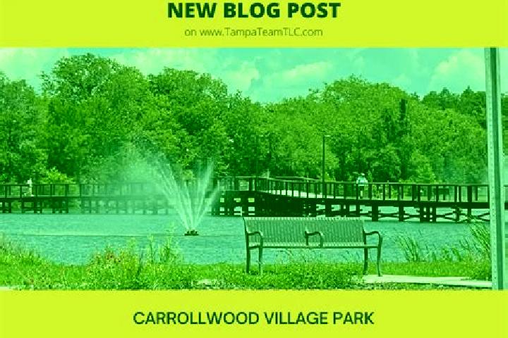 escort Carrollwood Village