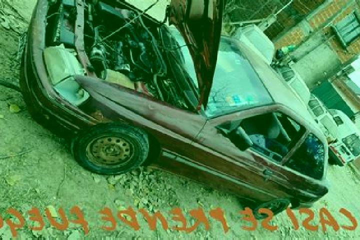 escort Casi