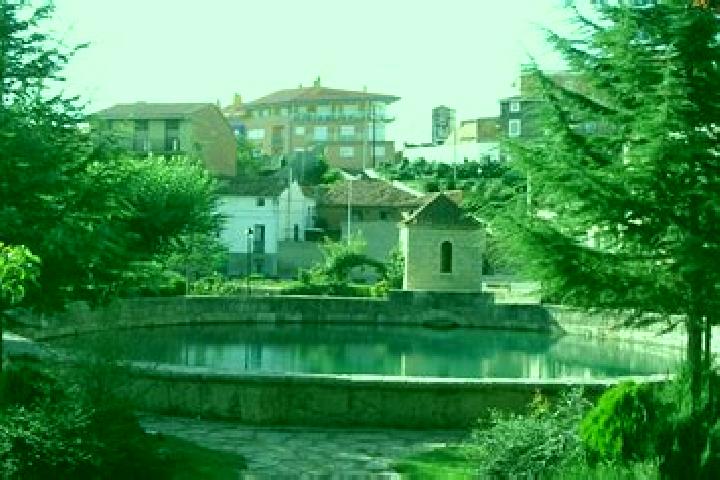 escort Castejon de Tornos