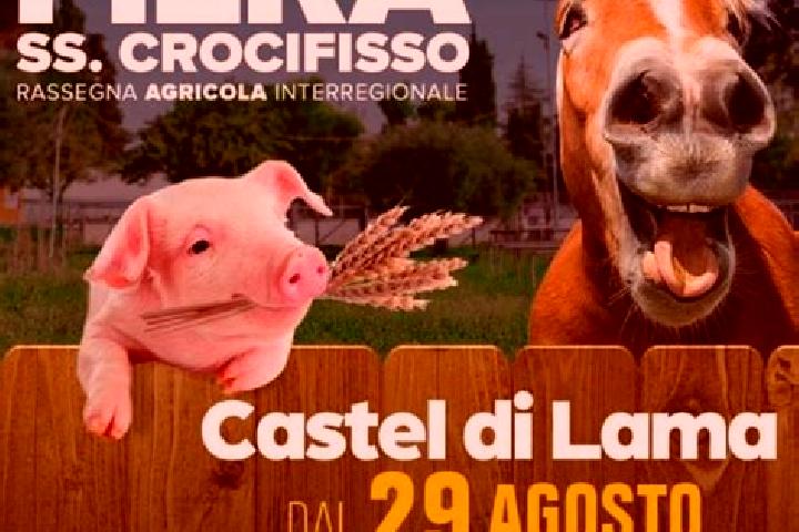 escort Castel di Lama