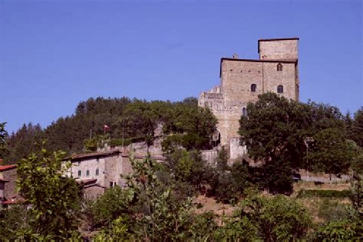 escort Castel San Niccolo