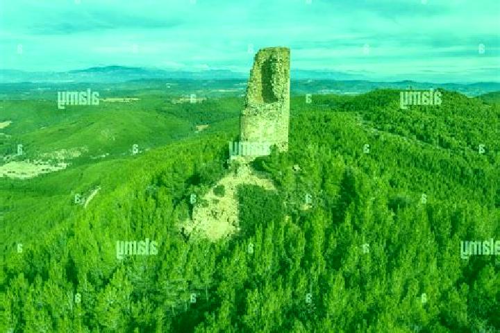 escort Castellnou de Bages