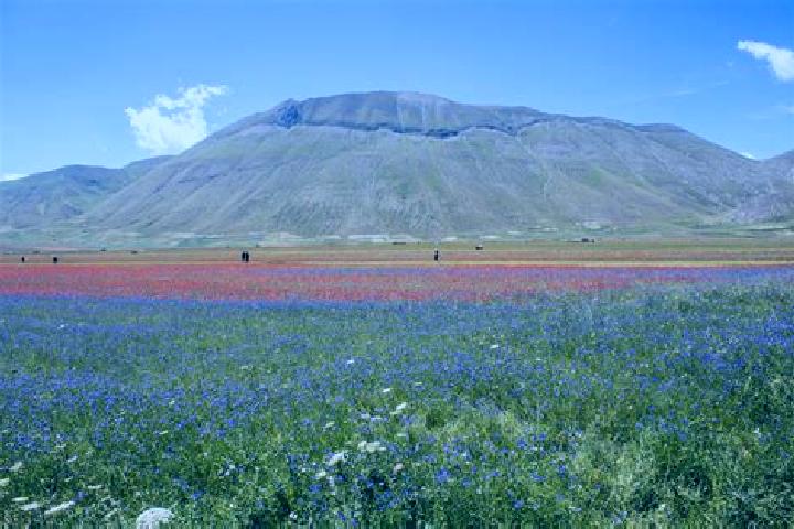escort Castelluccio