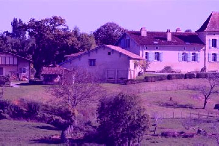 escort Castelnau-Chalosse