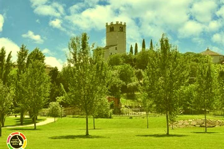escort Castelnuovo del Garda