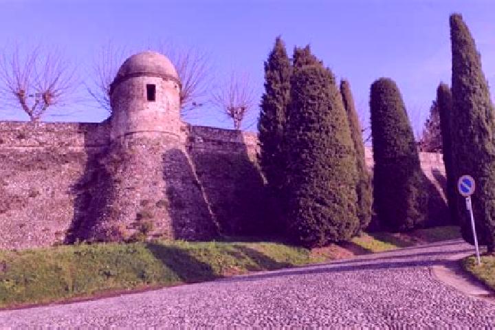 escort Castiglione delle Stiviere