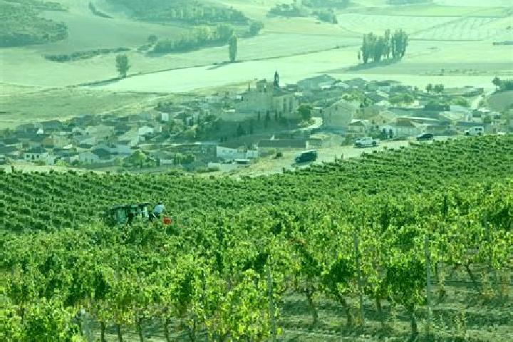 escort Castrillo de Duero