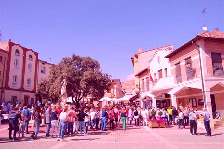 escort Castrillo del Val