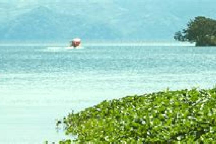 escort Catemaco