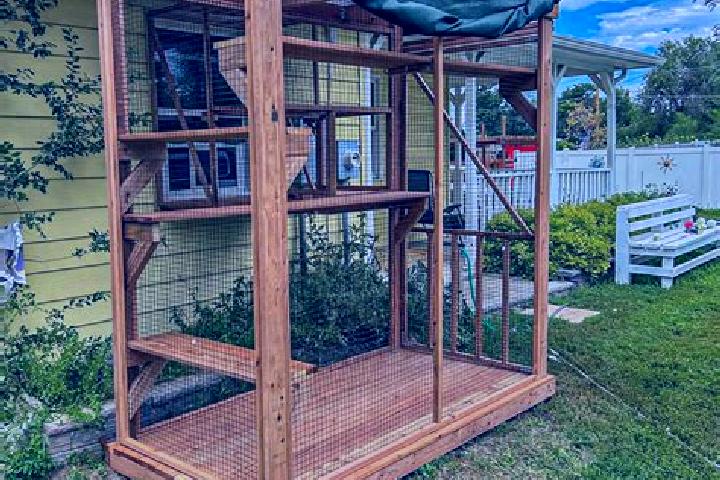 escort Catio