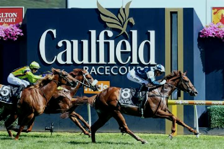 escort Caulfield