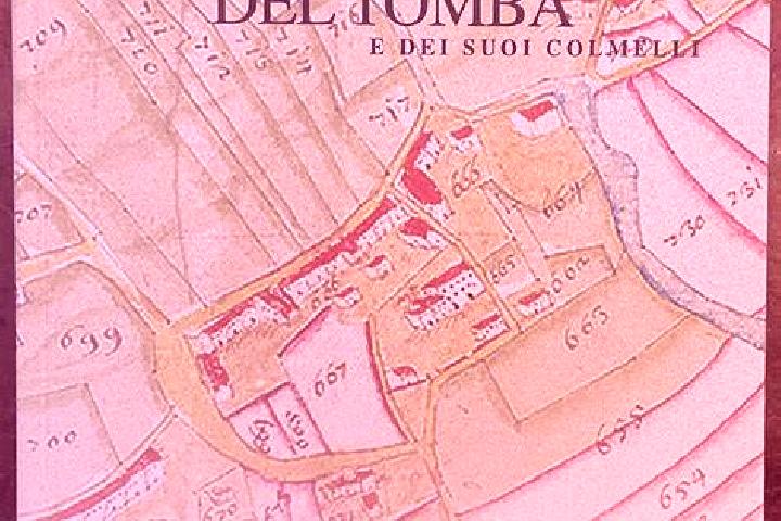 escort Cavaso del Tomba