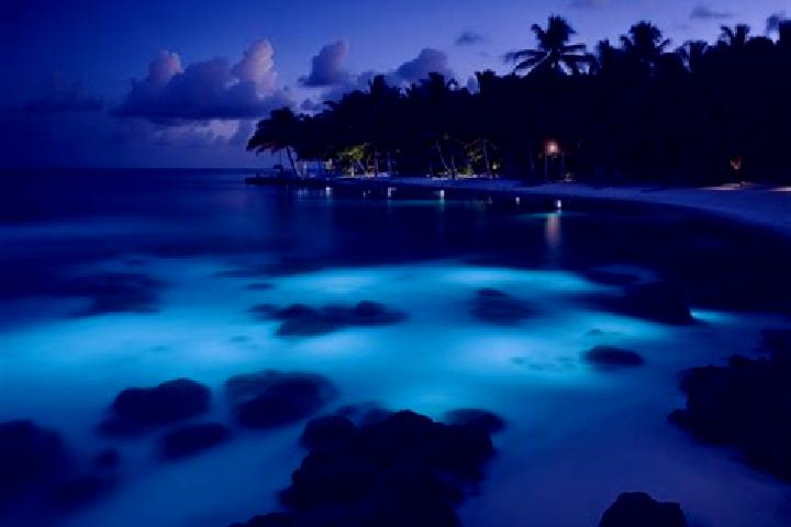 escort Cayman Islands