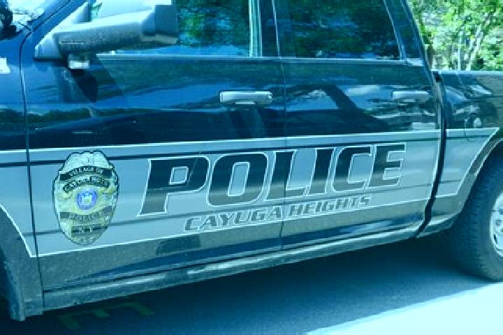 escort Cayuga Heights