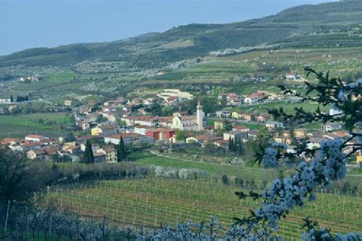 escort Cazzano di Tramigna