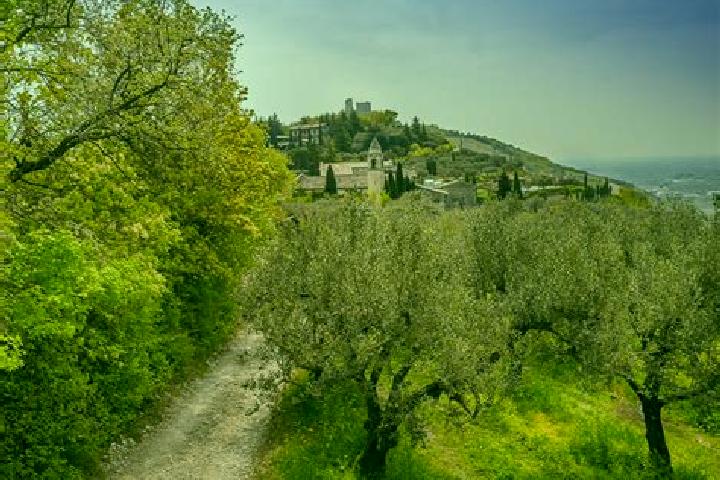 escort Cazzano Sant Andrea