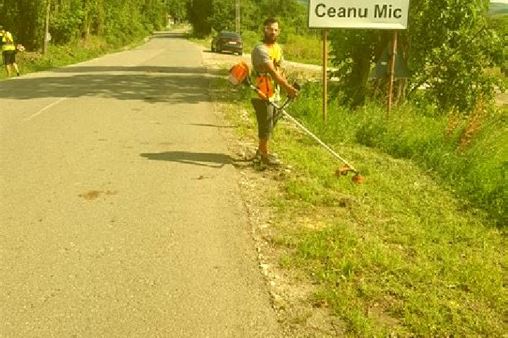 escort Ceanu Mic