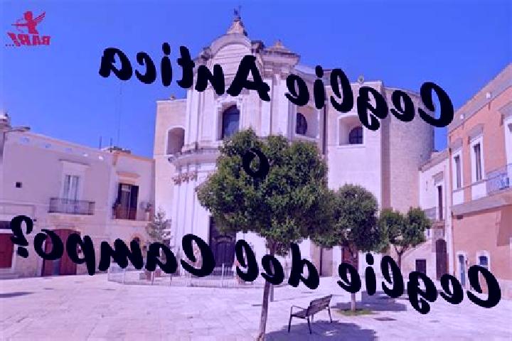 escort Ceglie del Campo