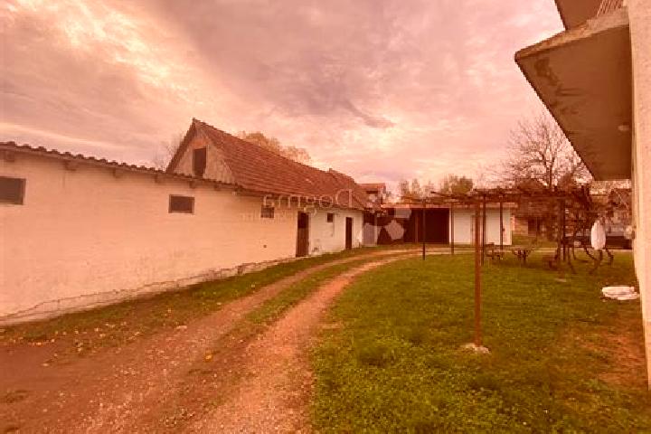 escort Cemernica