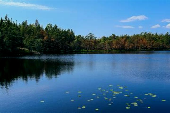 escort Central Lake