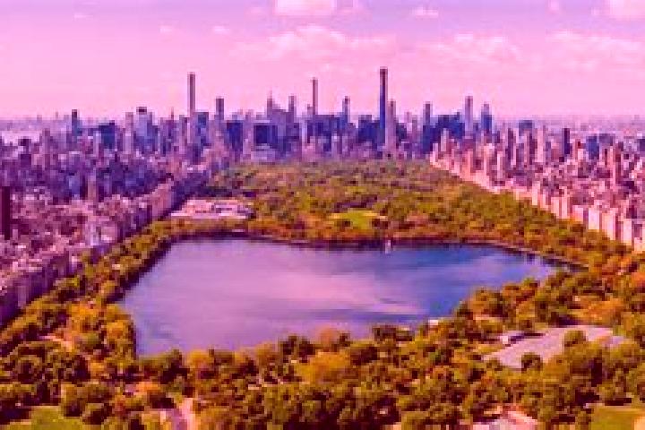 escort Central Park