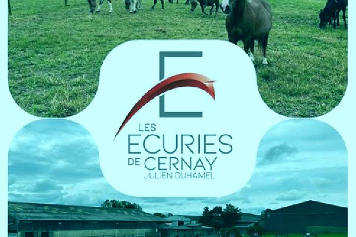 escort Cernay-les-Reims