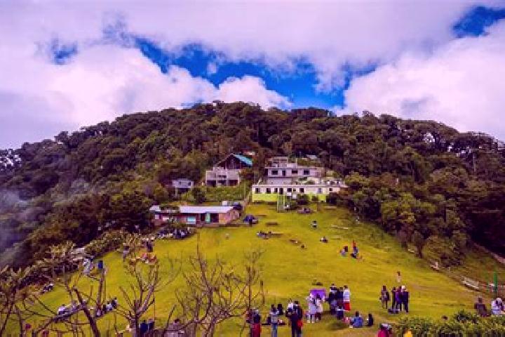 escort Cerro Alto