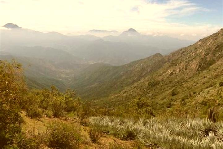 escort Cerro Campana
