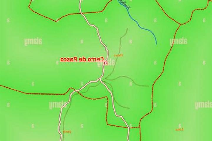 escort Cerro de Pasco