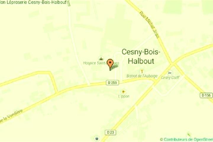 escort Cesny-Bois-Halbout