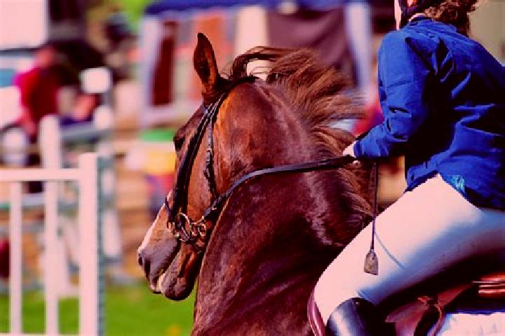escort Chamarandes-Choignes