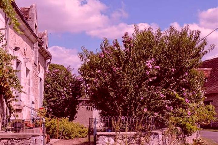 escort Chambourg-sur-Indre