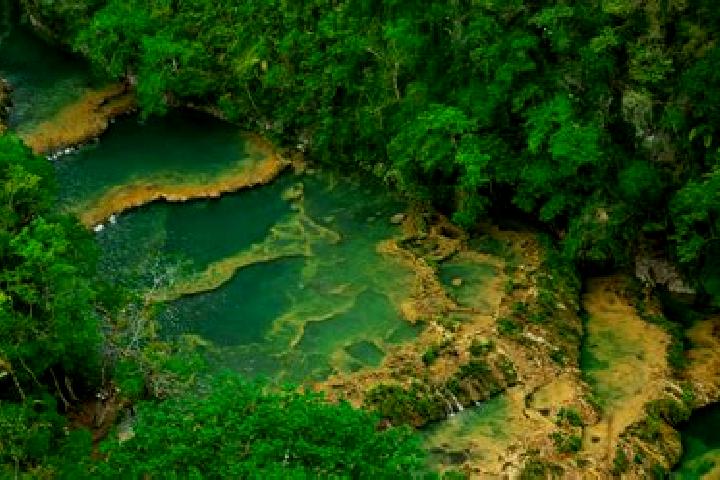escort Champey
